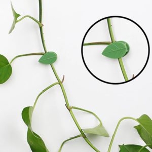FixtureClips, 10 + 10 INGYENES öntapadó tartó növényekhez, ágakhoz - fúrás nélkül!