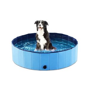 PawlyPool, összecsukható medence gyerekeknek és házi kedvenceknek