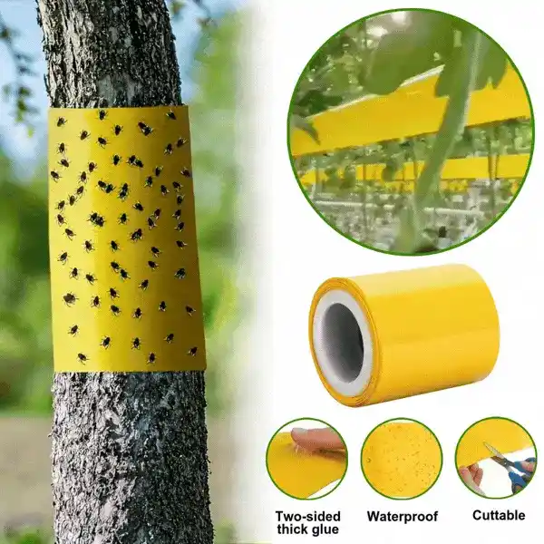 BarrierTape, ragasztószalag rovarok befogására